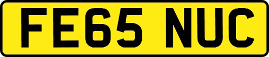 FE65NUC