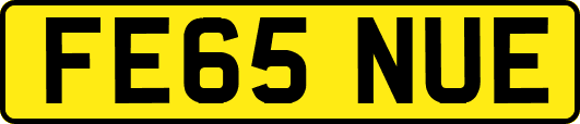 FE65NUE