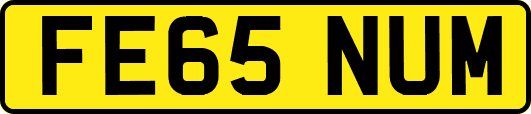 FE65NUM