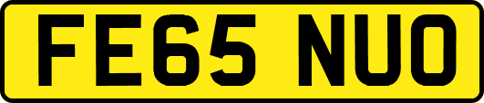 FE65NUO