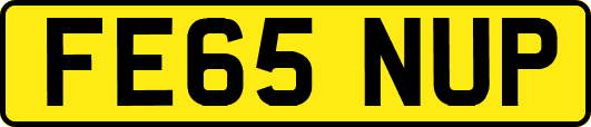 FE65NUP