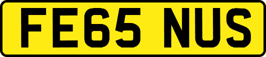 FE65NUS