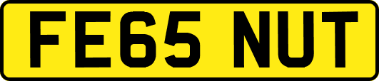 FE65NUT