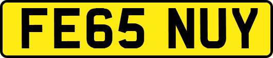 FE65NUY