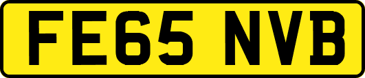 FE65NVB