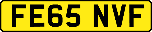 FE65NVF