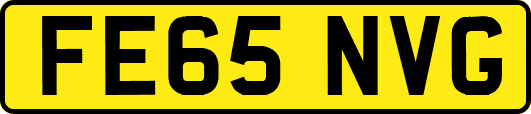 FE65NVG