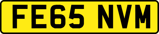 FE65NVM