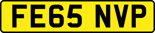 FE65NVP