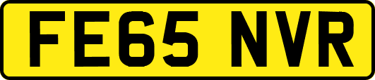FE65NVR