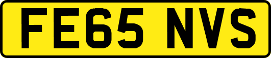 FE65NVS
