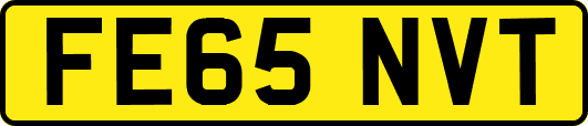 FE65NVT