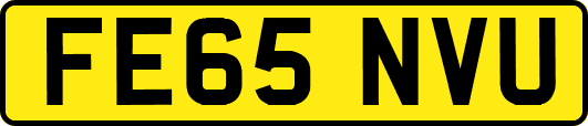 FE65NVU
