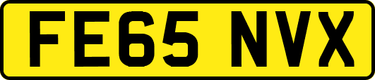 FE65NVX