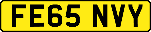 FE65NVY