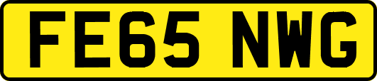 FE65NWG