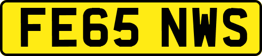 FE65NWS