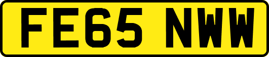 FE65NWW