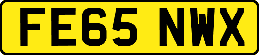 FE65NWX