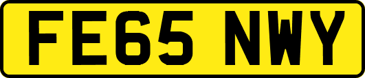 FE65NWY