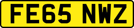 FE65NWZ