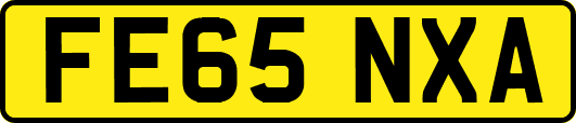 FE65NXA