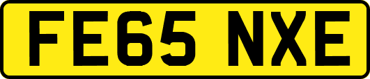 FE65NXE