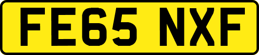 FE65NXF