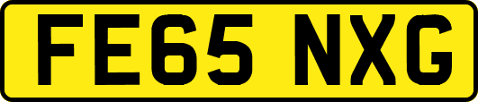 FE65NXG