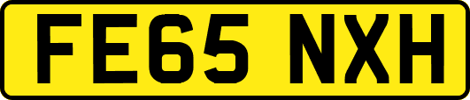 FE65NXH