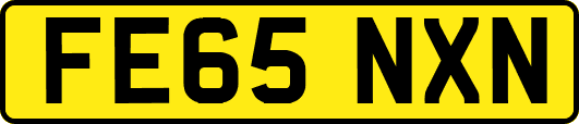 FE65NXN
