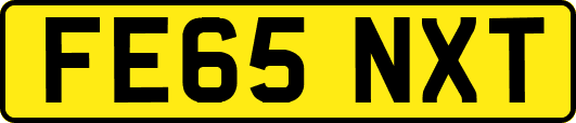 FE65NXT