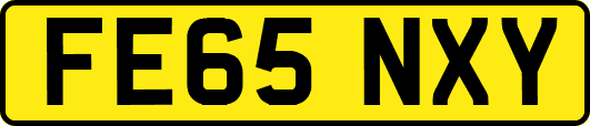 FE65NXY