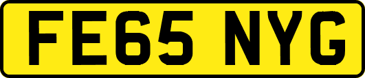 FE65NYG