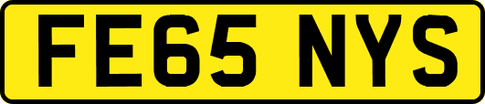 FE65NYS
