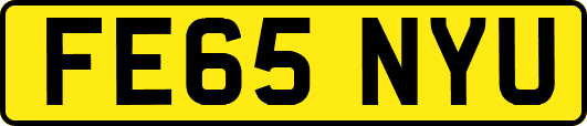 FE65NYU