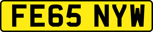 FE65NYW