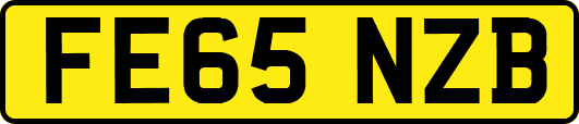 FE65NZB