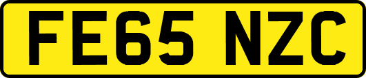 FE65NZC