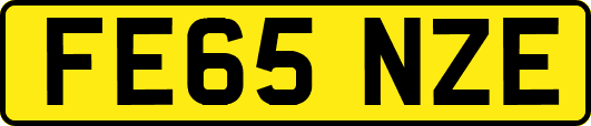 FE65NZE