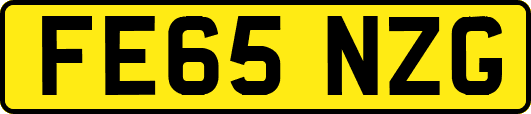 FE65NZG