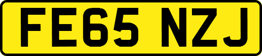 FE65NZJ