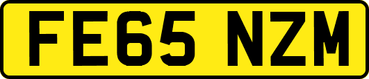 FE65NZM