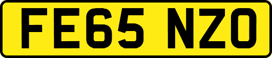 FE65NZO