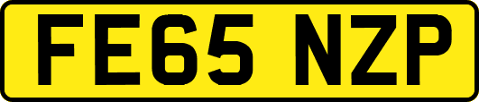 FE65NZP