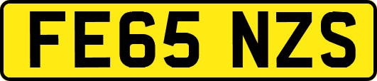 FE65NZS