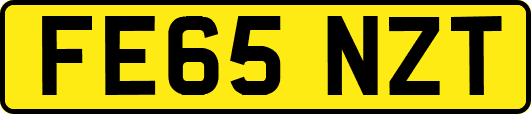 FE65NZT