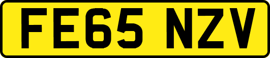 FE65NZV