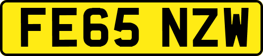 FE65NZW