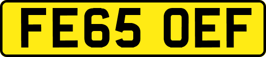 FE65OEF